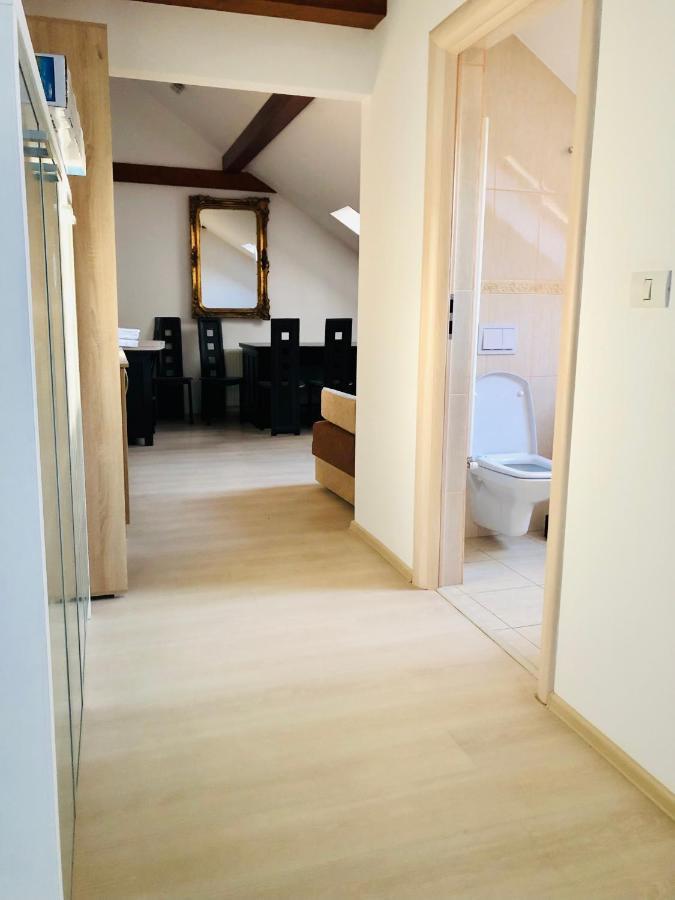 Ultra-Central Modern And Big Apartments In Union Square U41-U44 Тимишоара Экстерьер фото