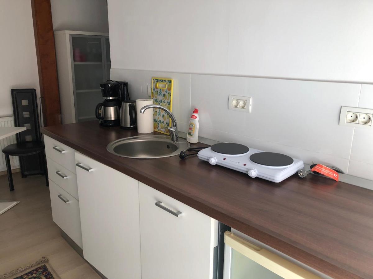 Ultra-Central Modern And Big Apartments In Union Square U41-U44 Тимишоара Экстерьер фото