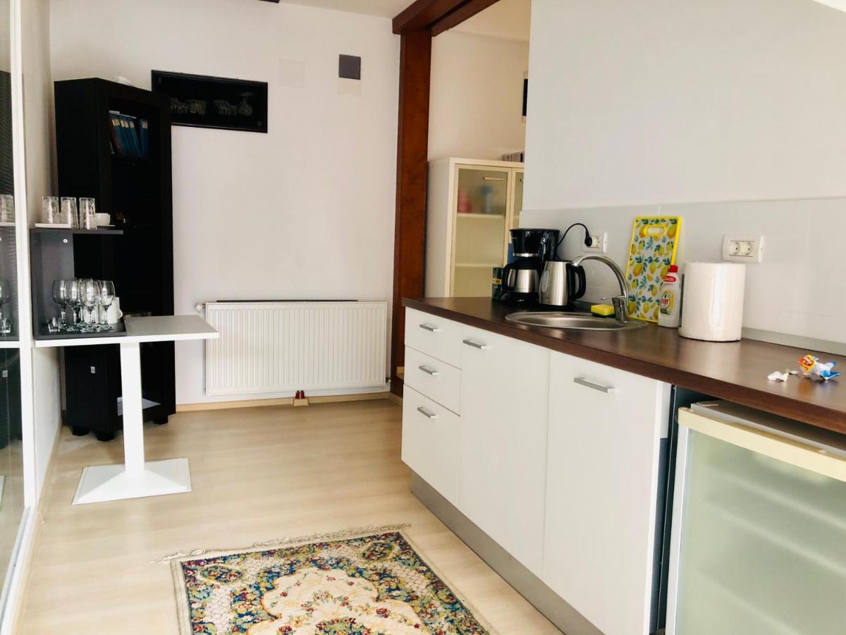 Ultra-Central Modern And Big Apartments In Union Square U41-U44 Тимишоара Экстерьер фото