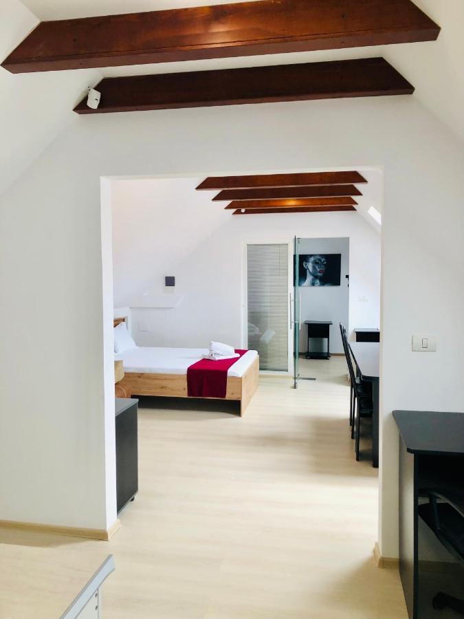 Ultra-Central Modern And Big Apartments In Union Square U41-U44 Тимишоара Экстерьер фото