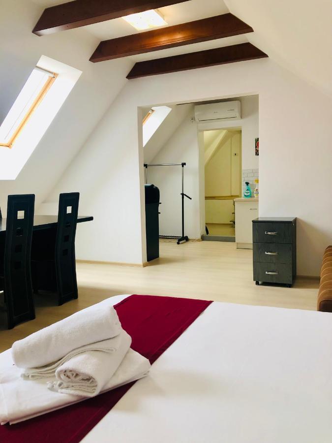 Ultra-Central Modern And Big Apartments In Union Square U41-U44 Тимишоара Экстерьер фото