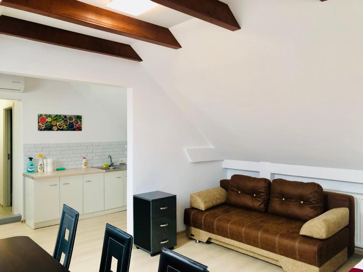 Ultra-Central Modern And Big Apartments In Union Square U41-U44 Тимишоара Экстерьер фото